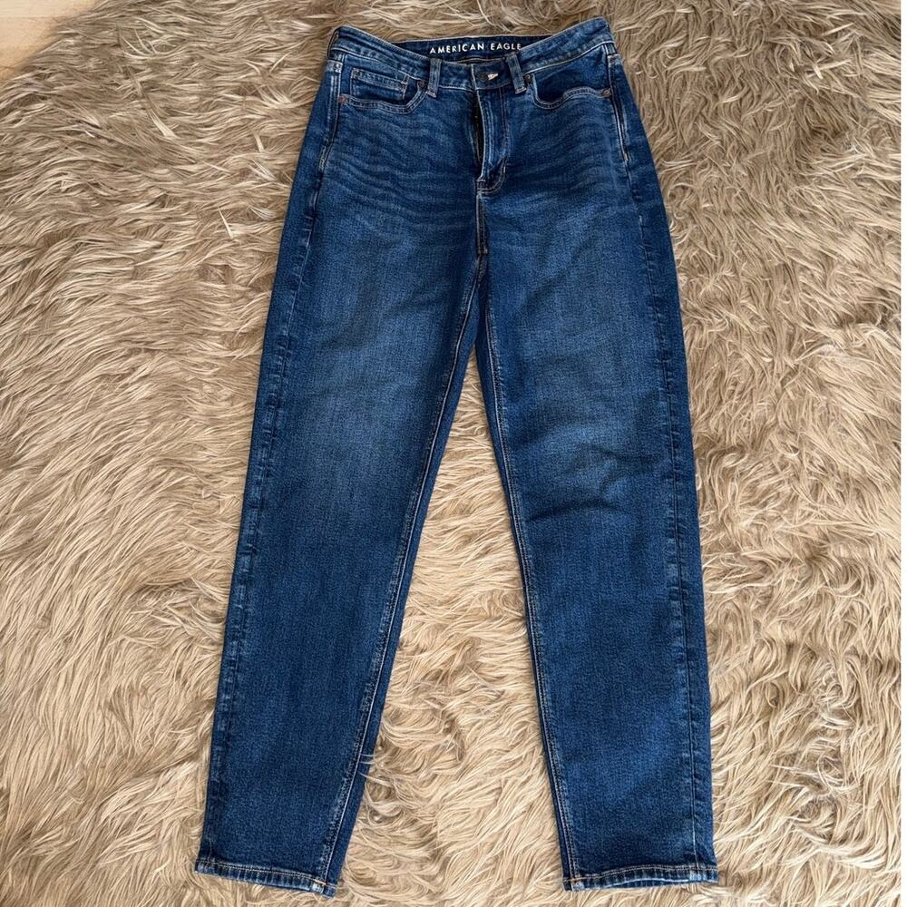 American Eagle Real Good Mom Jean Women's size 6 Long